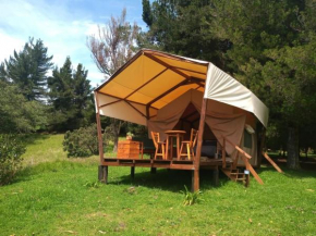 Glamping Verde 360